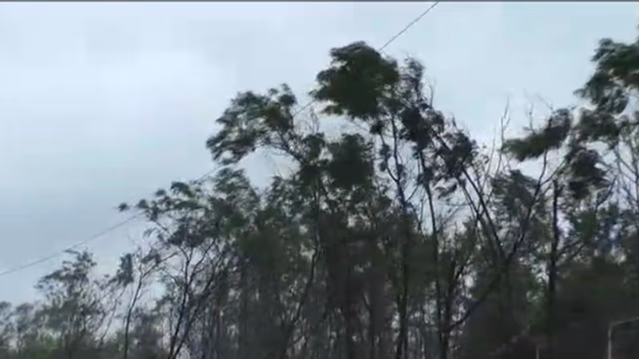 চলে গেছে বুলবুল, বাংলাদেশে পাঁচদিন ধরে বিদ্যুৎবিচ্ছিন্ন আড়াই লক্ষ পরিবার