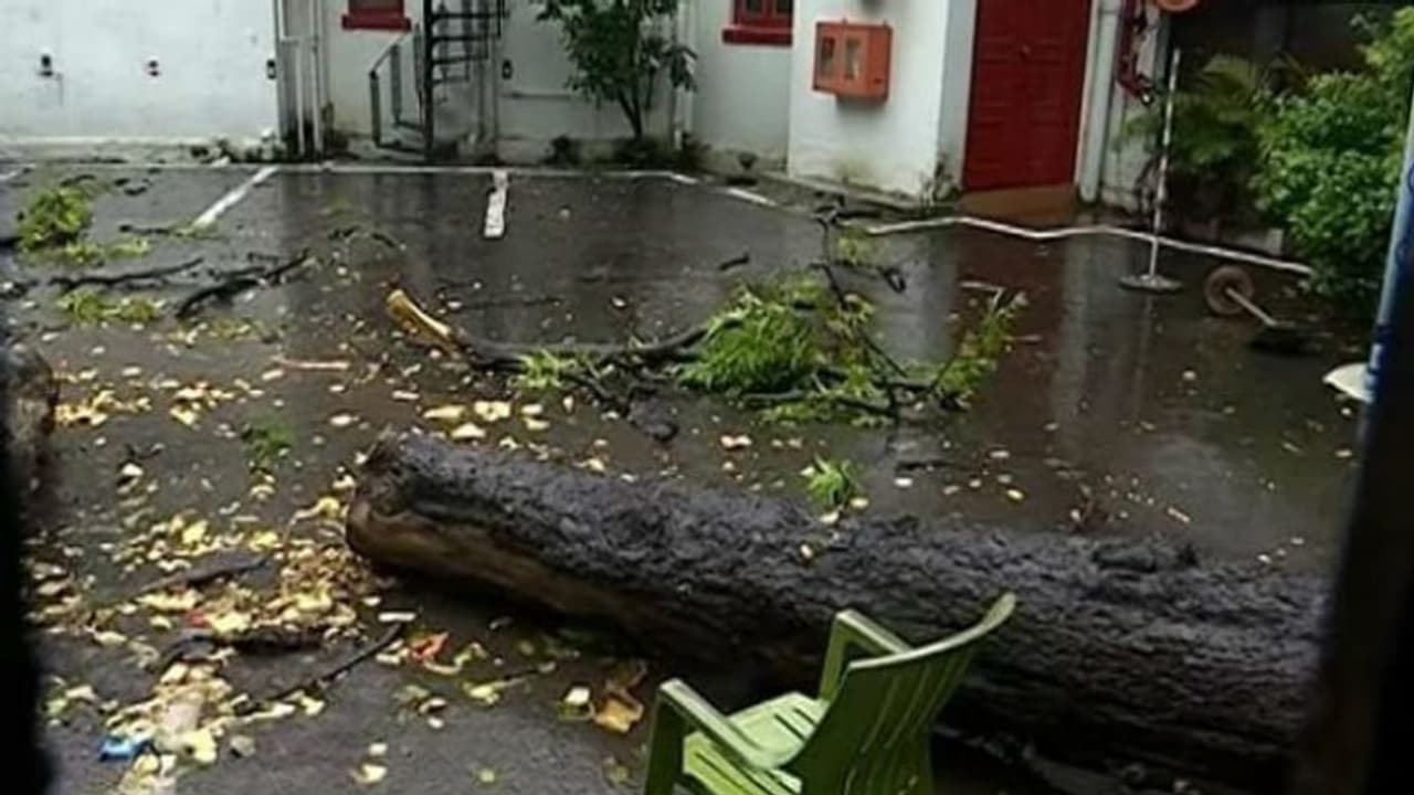 কলকাতায় গাছ পড়ে মৃত যুবক, বুলবুলের দাপটে বিকেলেই অন্ধকার শহর কলকাতায় গাছ পড়ে মৃত যুবক, বুলবুলের দাপটে বিকেলেই অন্ধকার শহর