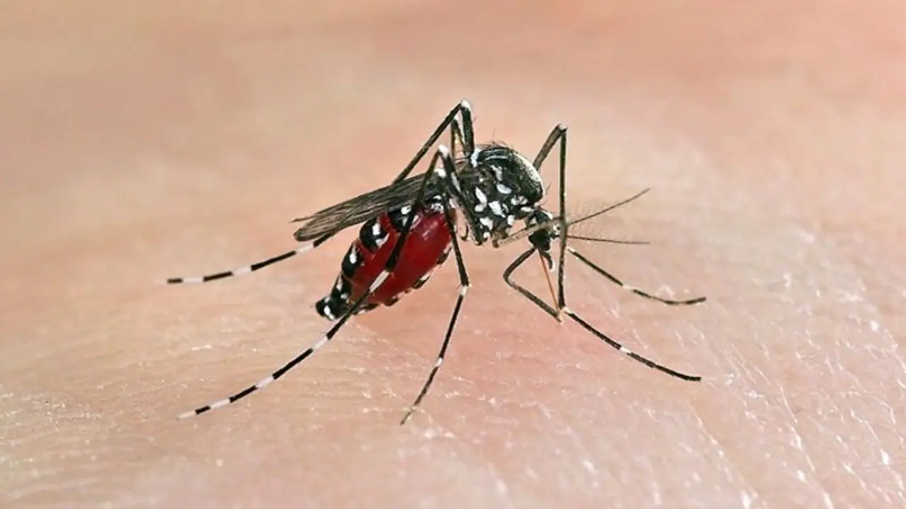 ಕೊಪ್ಪಳ: ದೇವಲಾಪುರದಲ್ಲಿ ನಾನಾ ಜ್ವರ, ಆತಂಕದಲ್ಲಿ ಗ್ರಾಮಸ್ಥರು ಕೊಪ್ಪಳ: ದೇವಲಾಪುರದಲ್ಲಿ ನಾನಾ ಜ್ವರ, ಆತಂಕದಲ್ಲಿ ಗ್ರಾಮಸ್ಥರು