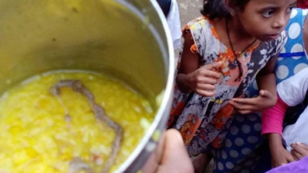 মিড মিলের খিচুড়িতে সাপ , আতঙ্কের গ্রাস ঘিরে আশঙ্কা মিড মিলের খিচুড়িতে সাপ , আতঙ্কের গ্রাস ঘিরে আশঙ্কা