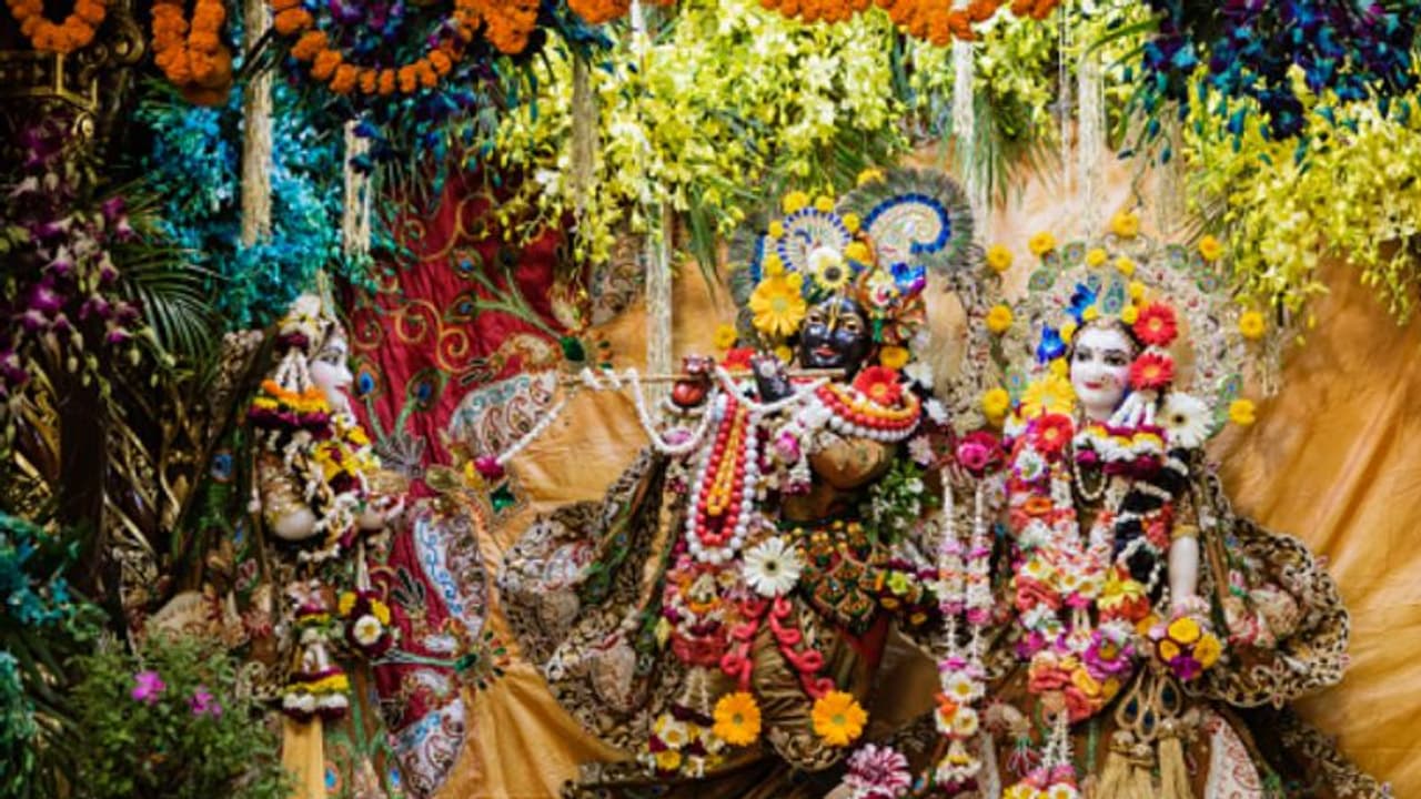 রাস পূর্ণিমাতেই মেনে চলুন এই নিয়মগুলি, উন্নত করুন অর্থভাগ্য রাস পূর্ণিমাতেই মেনে চলুন এই নিয়মগুলি, উন্নত করুন অর্থভাগ্য