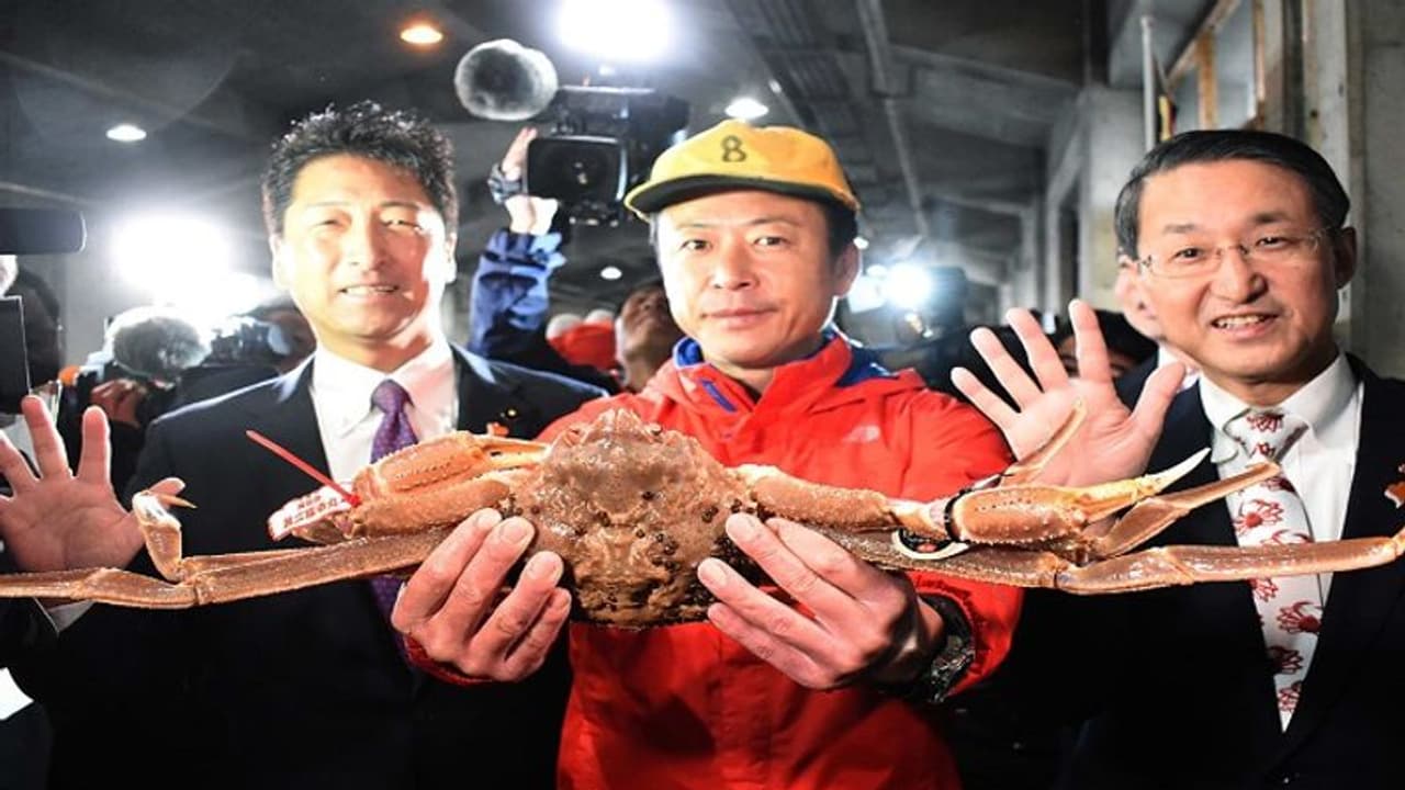 आखिर क्या खास है इस केकड़े में, कीमत जानकर रह जाएंगे हैरान आखिर क्या खास है इस केकड़े में, कीमत जानकर रह जाएंगे हैरान