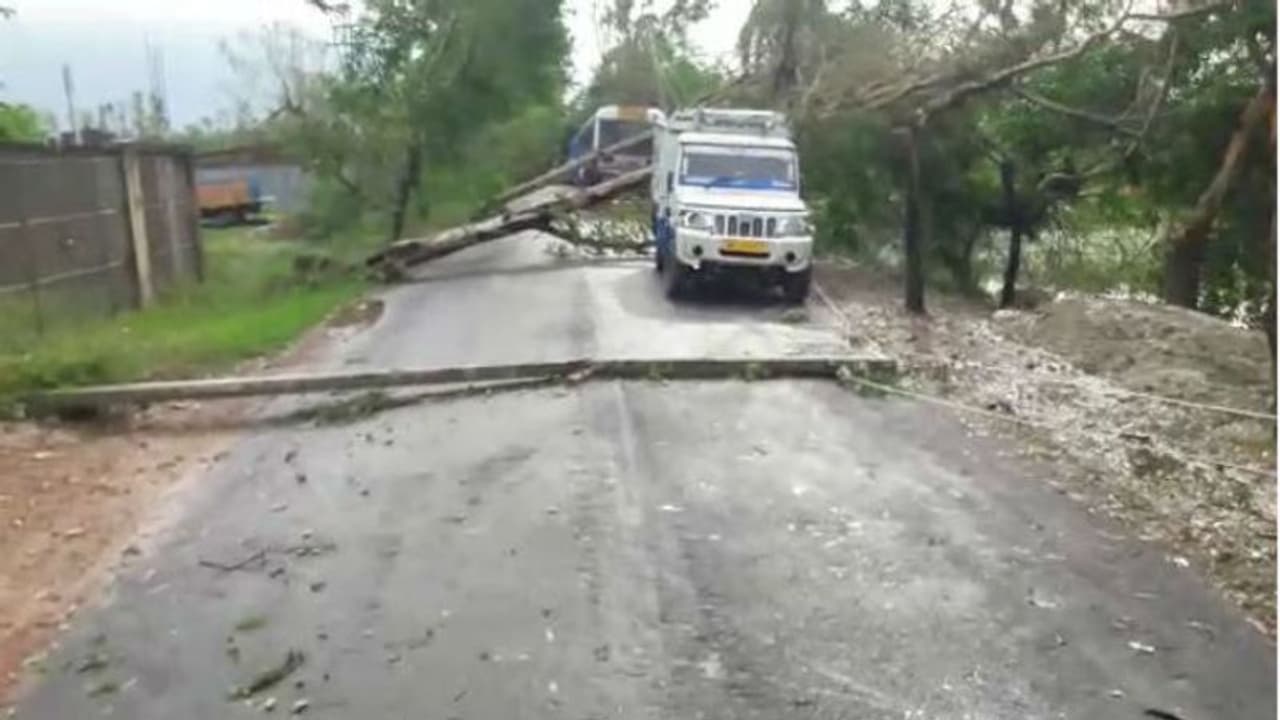 আয়লা হতে পারল না বুলবুল, আছড়ে পড়ার সময়ই বাঁচিয়ে দিল সুন্দরবনকে আয়লা হতে পারল না বুলবুল, আছড়ে পড়ার সময়ই বাঁচিয়ে দিল সুন্দরবনকে