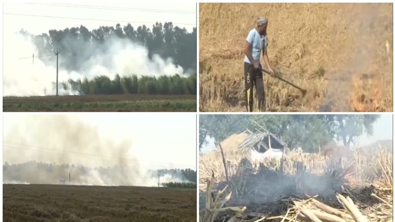 ശ്വാസം മുട്ടി ദില്ലി; അന്തരീക്ഷ മലിനീകരണം വീണ്ടും അപകടകരമായ നിലയില് ശ്വാസം മുട്ടി ദില്ലി; അന്തരീക്ഷ മലിനീകരണം വീണ്ടും അപകടകരമായ നിലയില്