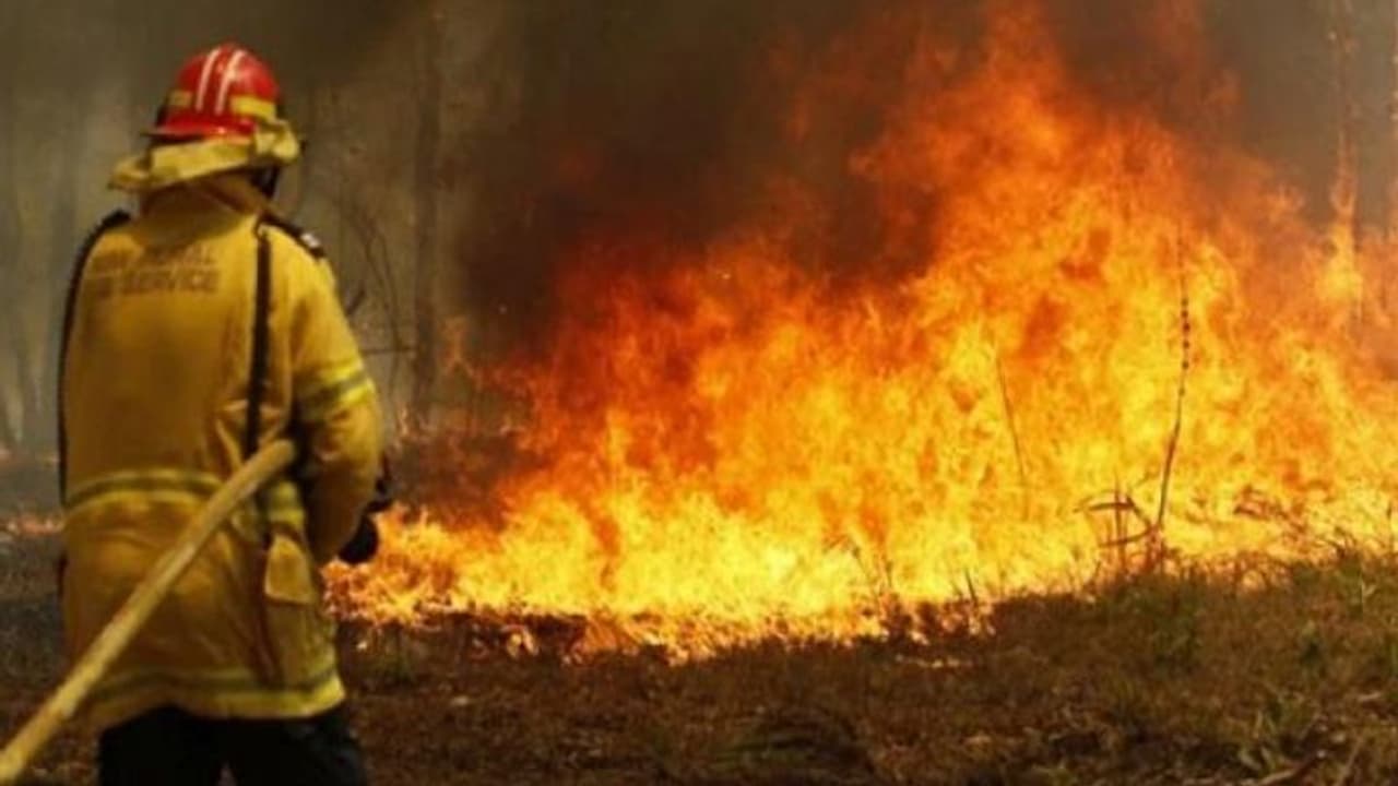 శేషాచలం అడవుల్లో కార్చిచ్చు.. దగ్ధమవుతున్న కాకులకోన..