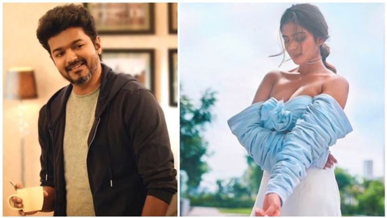 விஜய்யின் ஒட்டு மொத்த மானத்தையும் கொஞ்சம் கொஞ்சமா கப்பல் ஏற்றும் நாயகி மாளவிகா மோகன்..! செம்ம காண்டில் ரசிகர்கள்..! விஜய்யின் ஒட்டு மொத்த மானத்தையும் கொஞ்சம் கொஞ்சமா கப்பல் ஏற்றும் நாயகி மாளவிகா மோகன்..! செம்ம காண்டில் ரசிகர்கள்..!