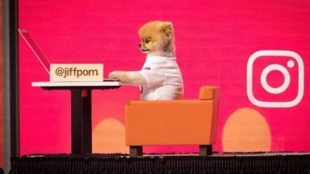 ఇక ఇన్స్టాగ్రామ్ లో ఫోటో లైక్స్ కనిపించవా.....? ఇక ఇన్స్టాగ్రామ్ లో ఫోటో లైక్స్ కనిపించవా.....?