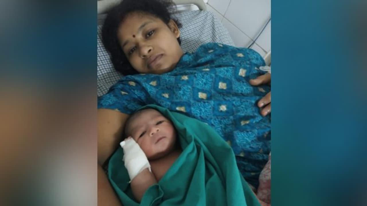 ঝড় গেল চলে, বুলবুল এল মায়ের কোলে, এক অসামান্য কাহিনি ঝড় গেল চলে, বুলবুল এল মায়ের কোলে, এক অসামান্য কাহিনি