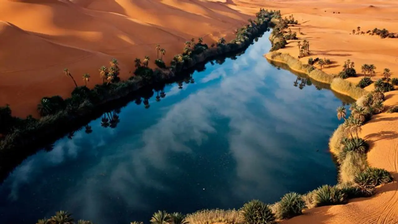 ಮಳೆಯೇ ಕಾಣದ ಸಹಾರಾ ಮರುಭೂಮಿಯಲ್ಲಿ ಮರಗಳು! ಬೆಳೆದಿದ್ದು ಹೇಗೆ?