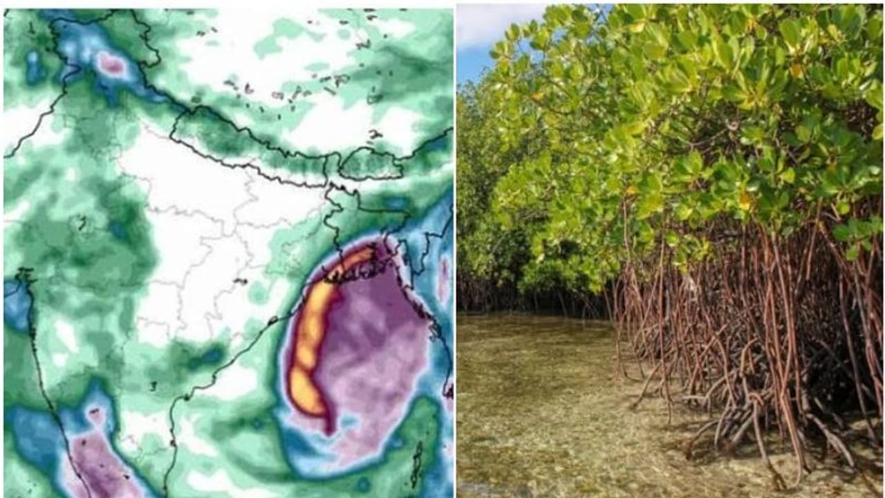 'ബുള് ബുളി'നെ തടഞ്ഞ ബംഗാളിന്റെ രക്ഷകന്; കേരളവും മറക്കരുത്, കല്ലേന് പൊക്കുടനെയും കണ്ടലിനെയും 'ബുള് ബുളി'നെ തടഞ്ഞ ബംഗാളിന്റെ രക്ഷകന്; കേരളവും മറക്കരുത്, കല്ലേന് പൊക്കുടനെയും കണ്ടലിനെയും