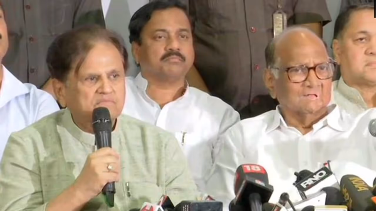 शरद पवार ने कहा, हम किसी जल्दी में नहीं, कांग्रेस से चर्चा के बाद शिवसेना पर होगा फैसला शरद पवार ने कहा, हम किसी जल्दी में नहीं, कांग्रेस से चर्चा के बाद शिवसेना पर होगा फैसला