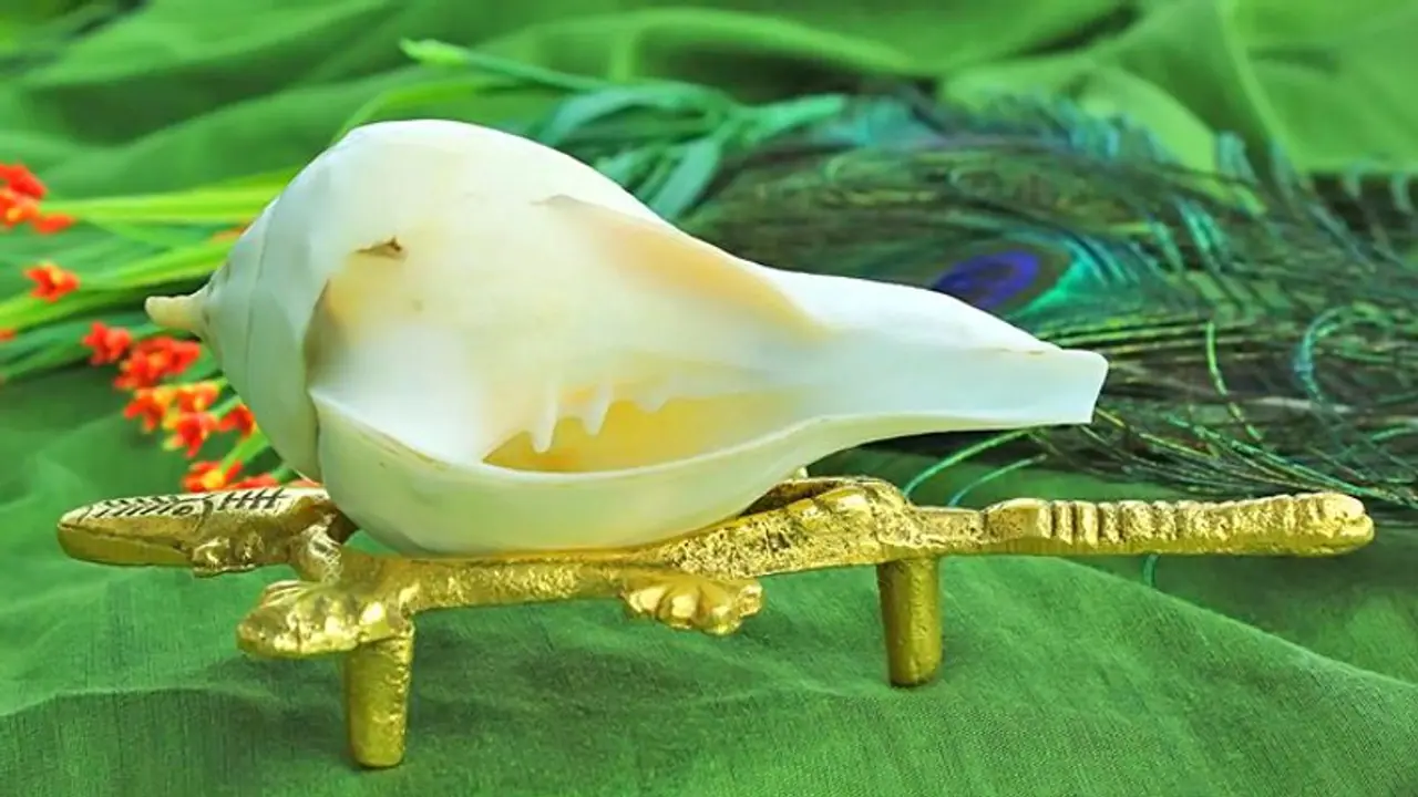 শঙ্খ বাজানোর অনেক উপকারিতা আছে, জানলে আপনিও অবাক হবেন শঙ্খ বাজানোর অনেক উপকারিতা আছে, জানলে আপনিও অবাক হবেন