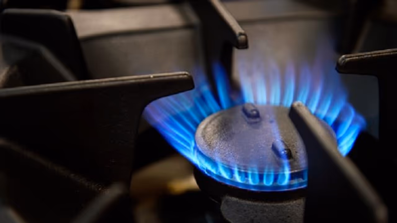 রান্নার গ্যাস চলবে মাসের পর মাস, সহজ কয়েকটি কৌশল জেনে নিন রান্নার গ্যাস চলবে মাসের পর মাস, সহজ কয়েকটি কৌশল জেনে নিন