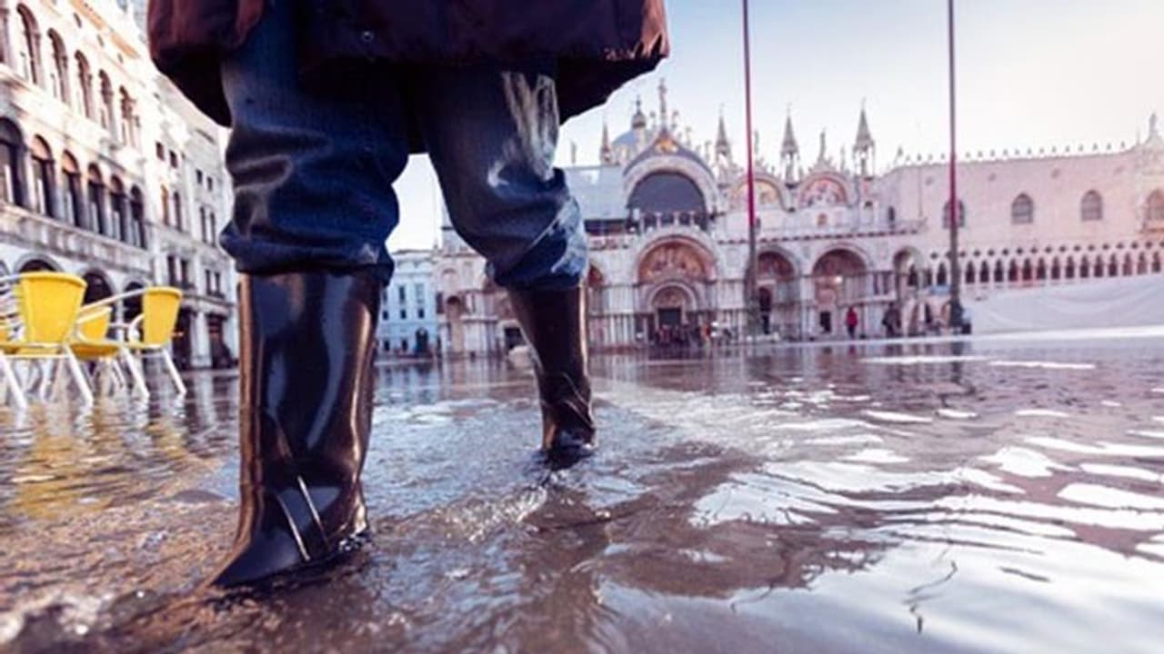 ತೇಲುವ ನಗರ ವೆನಿಸ್ ನೀರಿನಲ್ಲಿ ಮುಳುಗಿತು! ತೇಲುವ ನಗರ ವೆನಿಸ್ ನೀರಿನಲ್ಲಿ ಮುಳುಗಿತು!