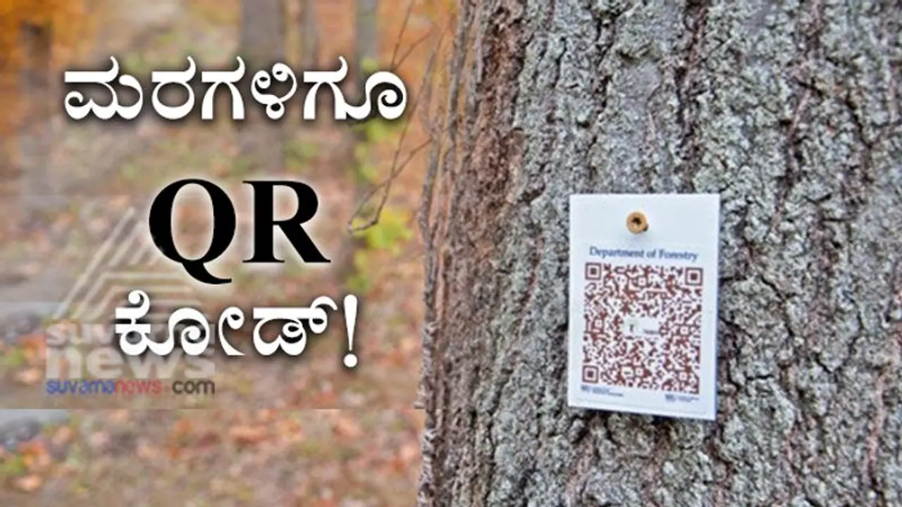 ಮರಗಳಿಗೂ QR ಕೋಡ್! ಕಾಲೇಜಿನ ಐಡಿಯಾಗೆ ವಿದ್ಯಾರ್ಥಿಗಳು ಬೌಲ್ಡ್ ಮರಗಳಿಗೂ QR ಕೋಡ್! ಕಾಲೇಜಿನ ಐಡಿಯಾಗೆ ವಿದ್ಯಾರ್ಥಿಗಳು ಬೌಲ್ಡ್