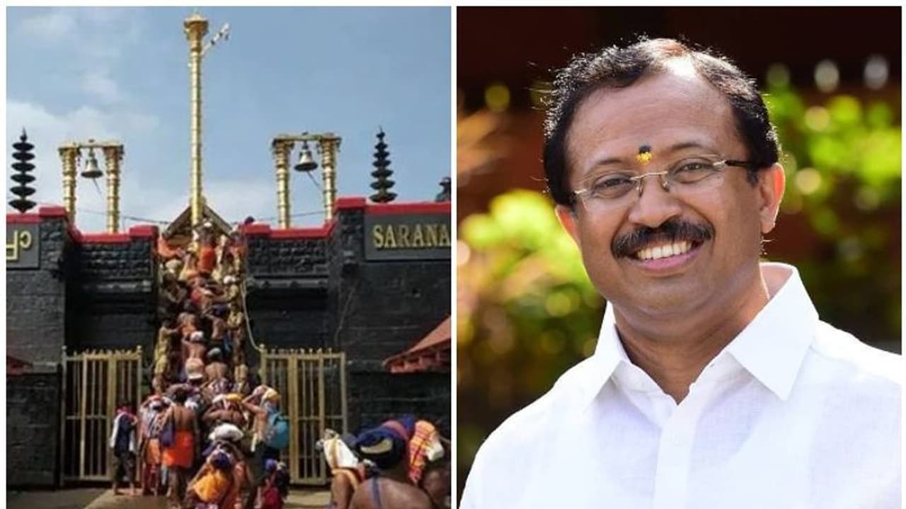 വിശാല ബെഞ്ചിന്റെ വിധിവരും വരെ ശബരിമലയില് ആചാരം നിലനില്ക്കണം, അതിന്റെ ബാധ്യത സര്ക്കാരിനെന്ന് മുരളീധരന് വിശാല ബെഞ്ചിന്റെ വിധിവരും വരെ ശബരിമലയില് ആചാരം നിലനില്ക്കണം, അതിന്റെ ബാധ്യത സര്ക്കാരിനെന്ന് മുരളീധരന്