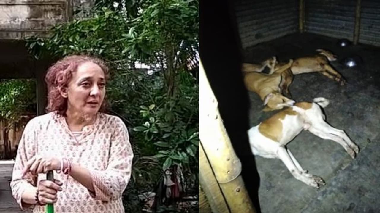 প্রতিবেশীর সঙ্গে সমস্যা,৬ টি কুকুরকে ইলেকট্রিক শক দিয়ে মারার অভিযোগ টালিগঞ্জে প্রতিবেশীর সঙ্গে সমস্যা,৬ টি কুকুরকে ইলেকট্রিক শক দিয়ে মারার অভিযোগ টালিগঞ্জে