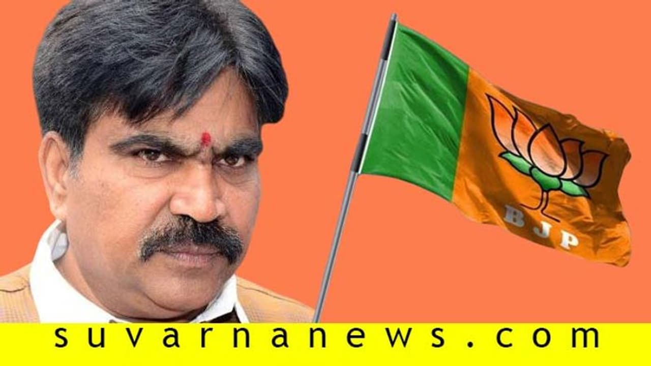 ಬಿಜೆಪಿಗೆ ರಾಜಿನಾಮೆ ನೀಡಿದ ಎಂಎಲ್ಸಿ ಆರ್. ಶಂಕರ್‌: ಪಕ್ಷೇತರ ಸ್ಪರ್ಧೆಗೆ ಸಿದ್ಧತೆ