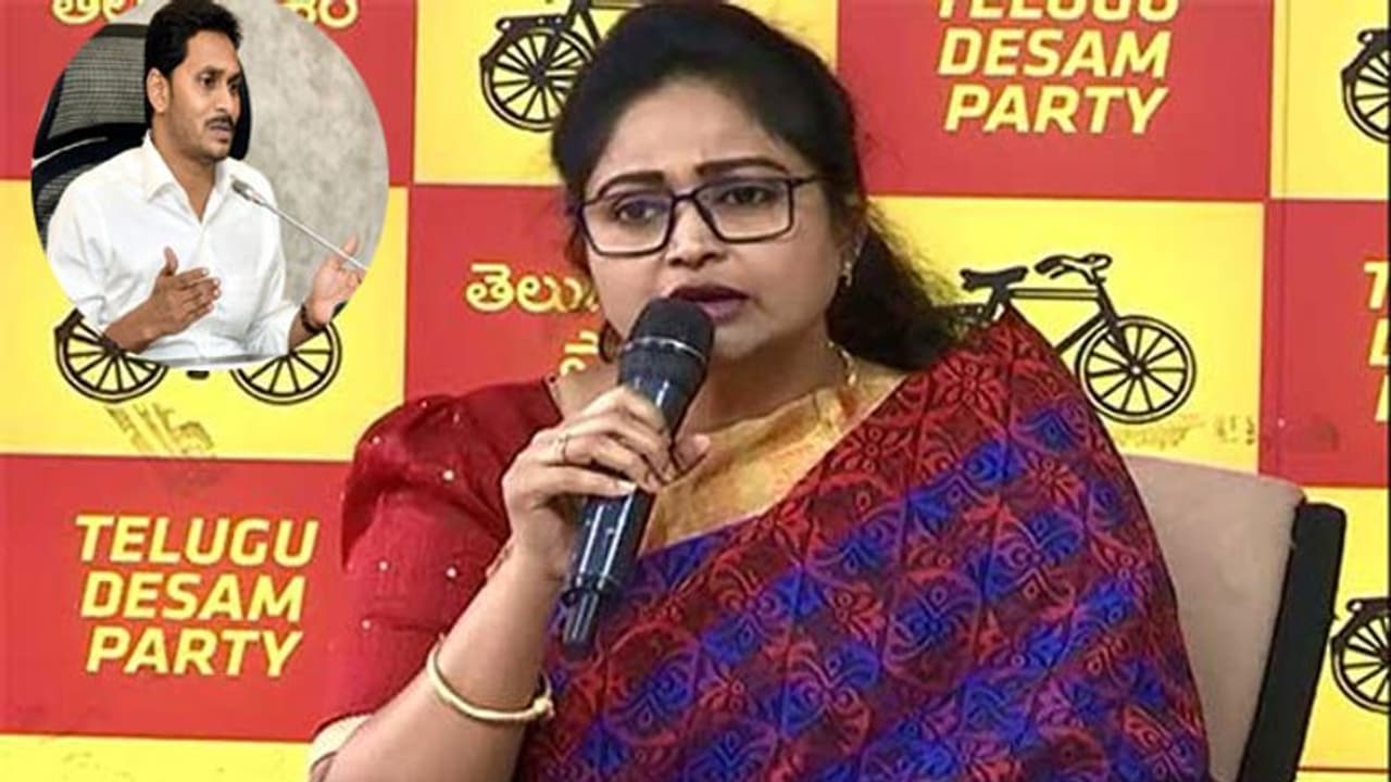 మీ కళ్లు గద్దలు పొడవా, పౌరుషమున్న సీఎంవైతే... :జగన్ పై దివ్యవాణి ఫైర్