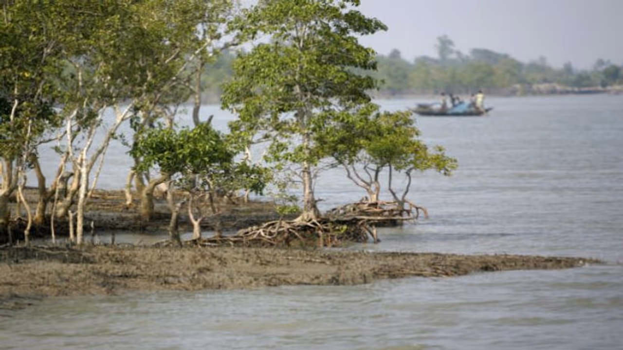 বিশ্ব হেরিটেজের তালিকাভুক্ত জলাজমি বোজানোর চেষ্টা, নাম জড়াল তৃণমূল প্রধানের বিশ্ব হেরিটেজের তালিকাভুক্ত জলাজমি বোজানোর চেষ্টা, নাম জড়াল তৃণমূল প্রধানের