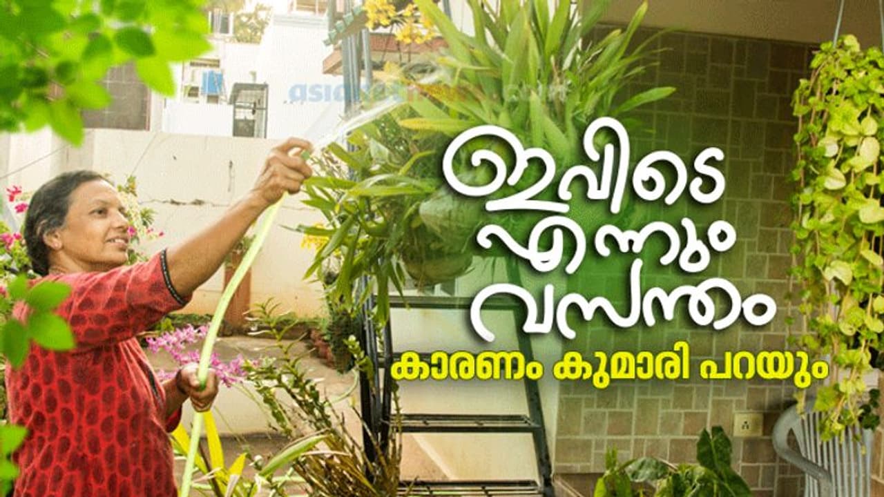 വീടിനകത്തും പുറത്തും നിറയെ ചെടി വളര്ത്താം, വേണമെങ്കില് വരുമാനവും നേടാം വീടിനകത്തും പുറത്തും നിറയെ ചെടി വളര്ത്താം, വേണമെങ്കില് വരുമാനവും നേടാം