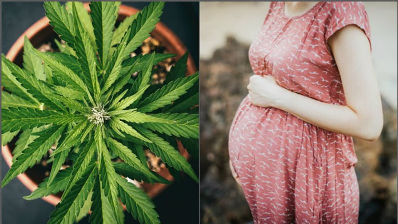 অন্তঃসত্ত্বা মহিলার পেট থেকে বের হল ১৫ প্যাকেট গাঁজা