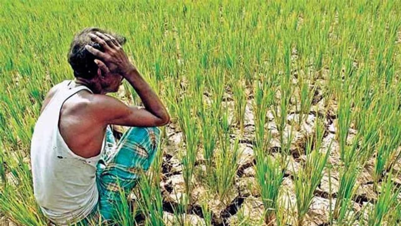 ಹಾವೇರಿ: ರೈತರ ಬದುಕು 2020 ರಲ್ಲಾದರೂ ಹಸನಾಗುತ್ತಾ?