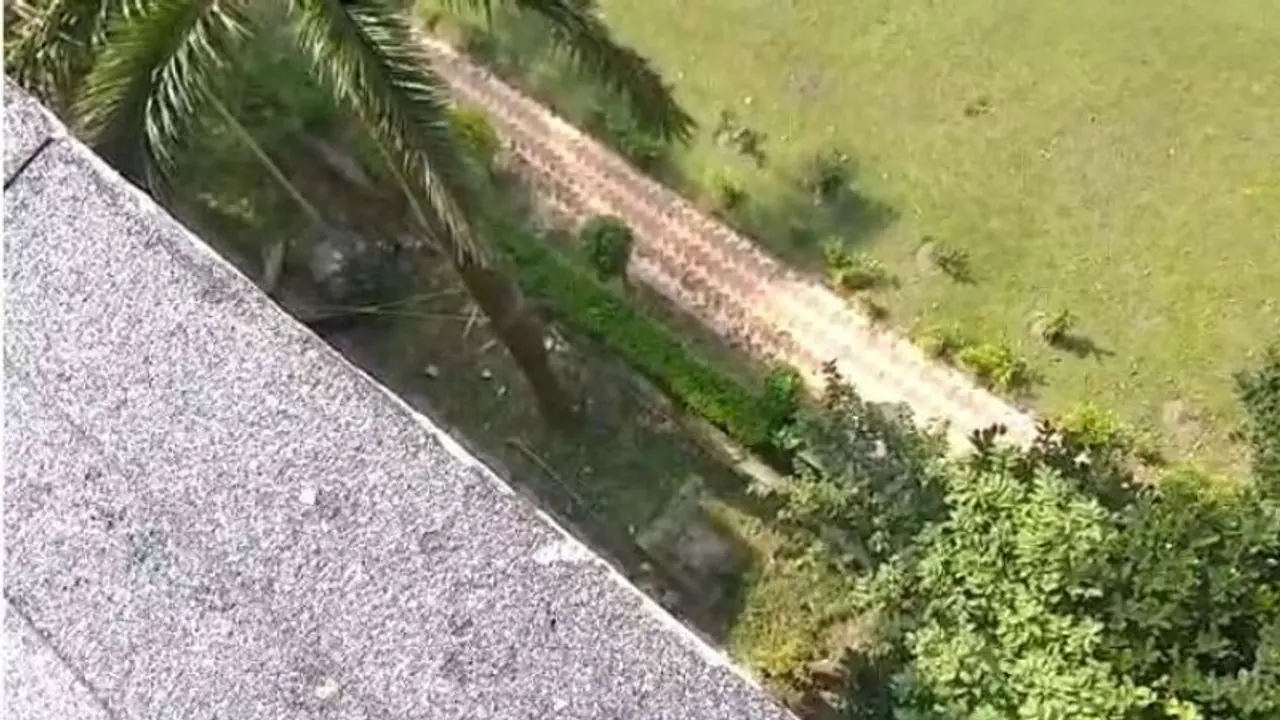 পড়া নিয়ে বকুনি, বাবার উপর রাগে পাঁচতলা থেকে ঝাঁপ কিশোরের