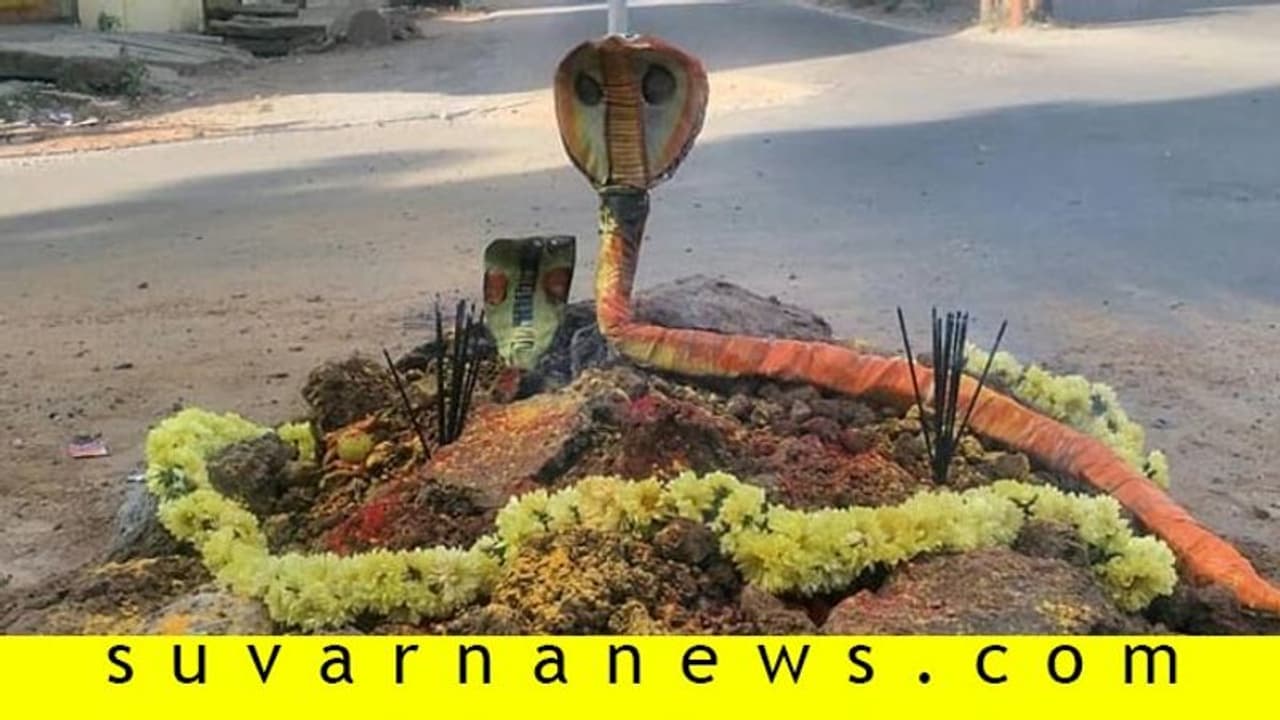 ರಸ್ತೆ ಮಧ್ಯದಲ್ಲೇ ಏಕಾ ಏಕಿ ಪ್ರತ್ಯಕ್ಷವಾದ ನಾಗರ ಹುತ್ತ