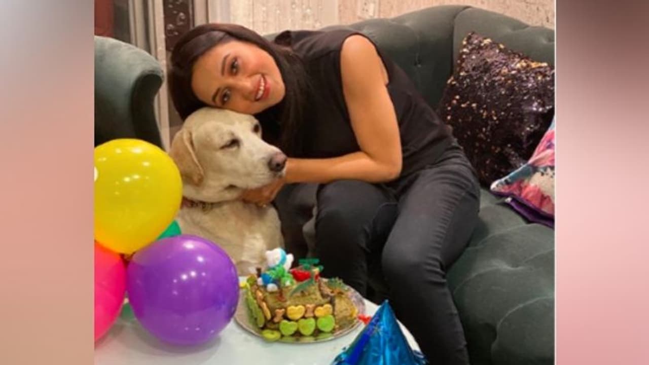 চিকোর জন্মদিন বলে কথা, কেক কেটে সেলিব্রেশনে মাতলেন মিমি, দেখুন ভিডিও চিকোর জন্মদিন বলে কথা, কেক কেটে সেলিব্রেশনে মাতলেন মিমি, দেখুন ভিডিও