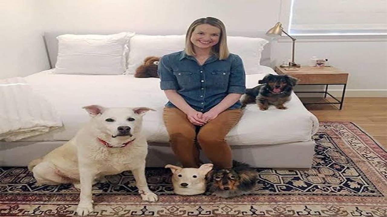 हूबहू पालतू जानवरों जैसे आए स्लीपर्स, पेट्स लवर कर रहे काफी पसंद हूबहू पालतू जानवरों जैसे आए स्लीपर्स, पेट्स लवर कर रहे काफी पसंद