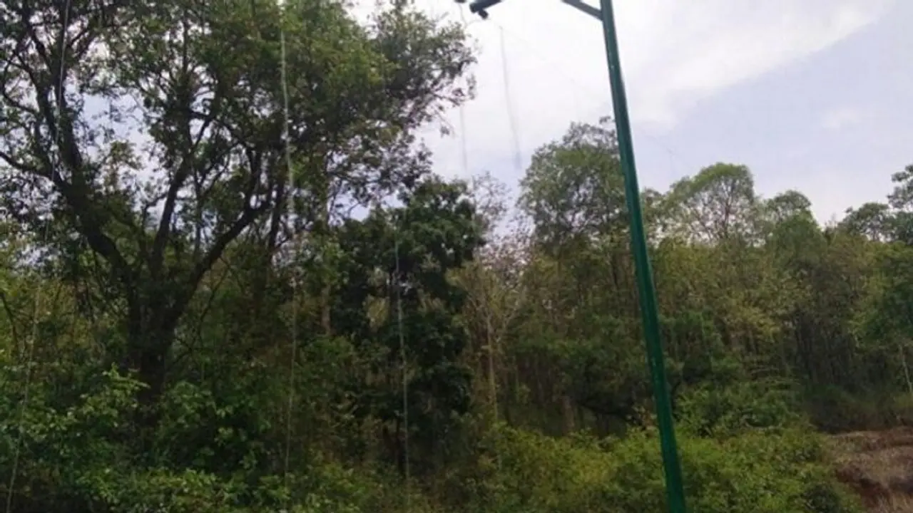 ಕೊಡಗು: ಕಾಡಾನೆ ದಾಳಿ ತಡೆಯಲು ಹಾಕಿದ್ದ ಸೌರ ಬೇಲಿ​ಗಳು ಕಾಡುಪಾಲು!