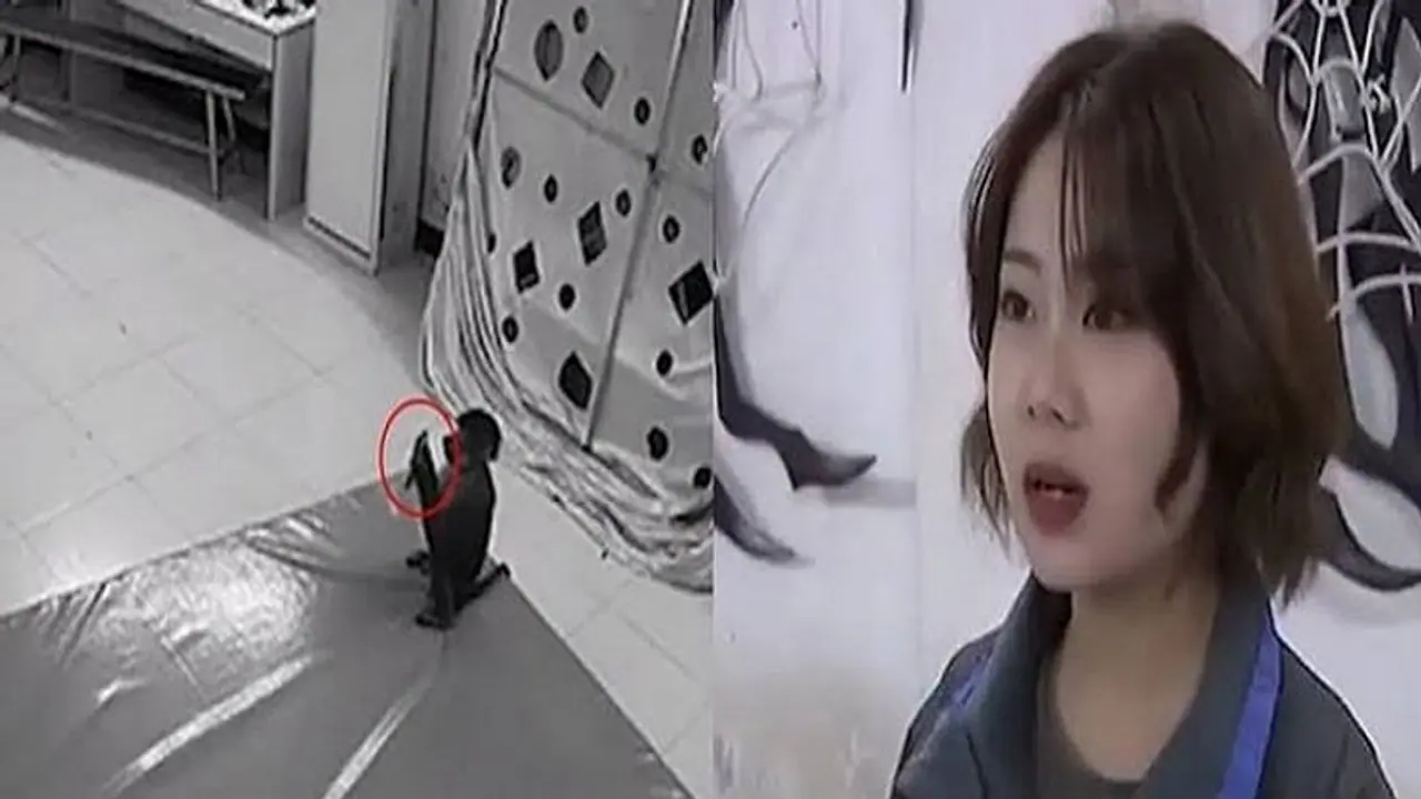 जब बंदर ने की ऑनलाइन शॉपिंग, जानें फिर क्या हुआ ! जब बंदर ने की ऑनलाइन शॉपिंग, जानें फिर क्या हुआ !