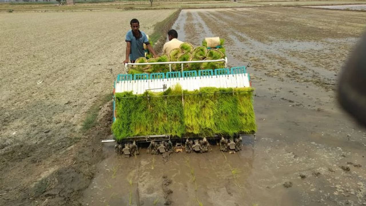 ಕಡಿಮೆ ಖರ್ಚಿನಲ್ಲಿ ಯಾಂತ್ರೀಕೃತ ಭತ್ತದ ನಾಟಿ