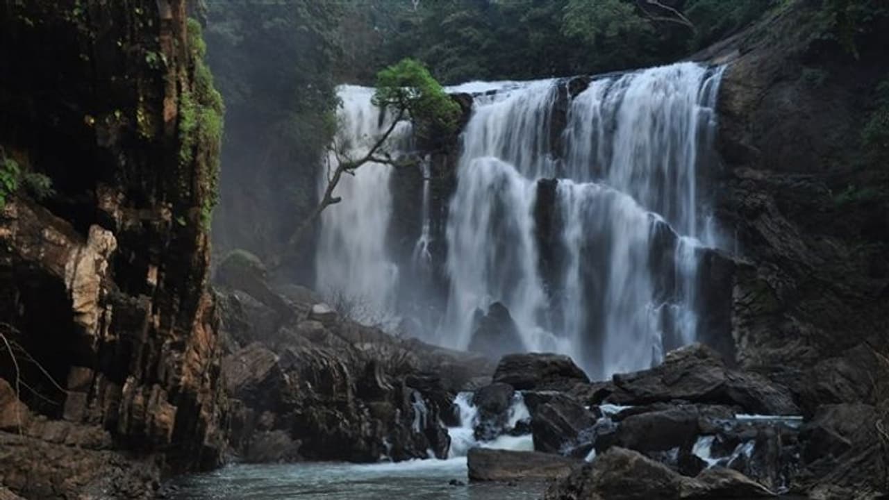 ಸೊರಬ್ಬಿ ಹಳ್ಳದಿಂದ ಉಗಮ, 50 ಅಡಿ ಎತ್ತರದಿಂದ ಧುಮ್ಮಿಕ್ಕುವ ಜಲಧಾರೆ! ಸೊರಬ್ಬಿ ಹಳ್ಳದಿಂದ ಉಗಮ, 50 ಅಡಿ ಎತ್ತರದಿಂದ ಧುಮ್ಮಿಕ್ಕುವ ಜಲಧಾರೆ!