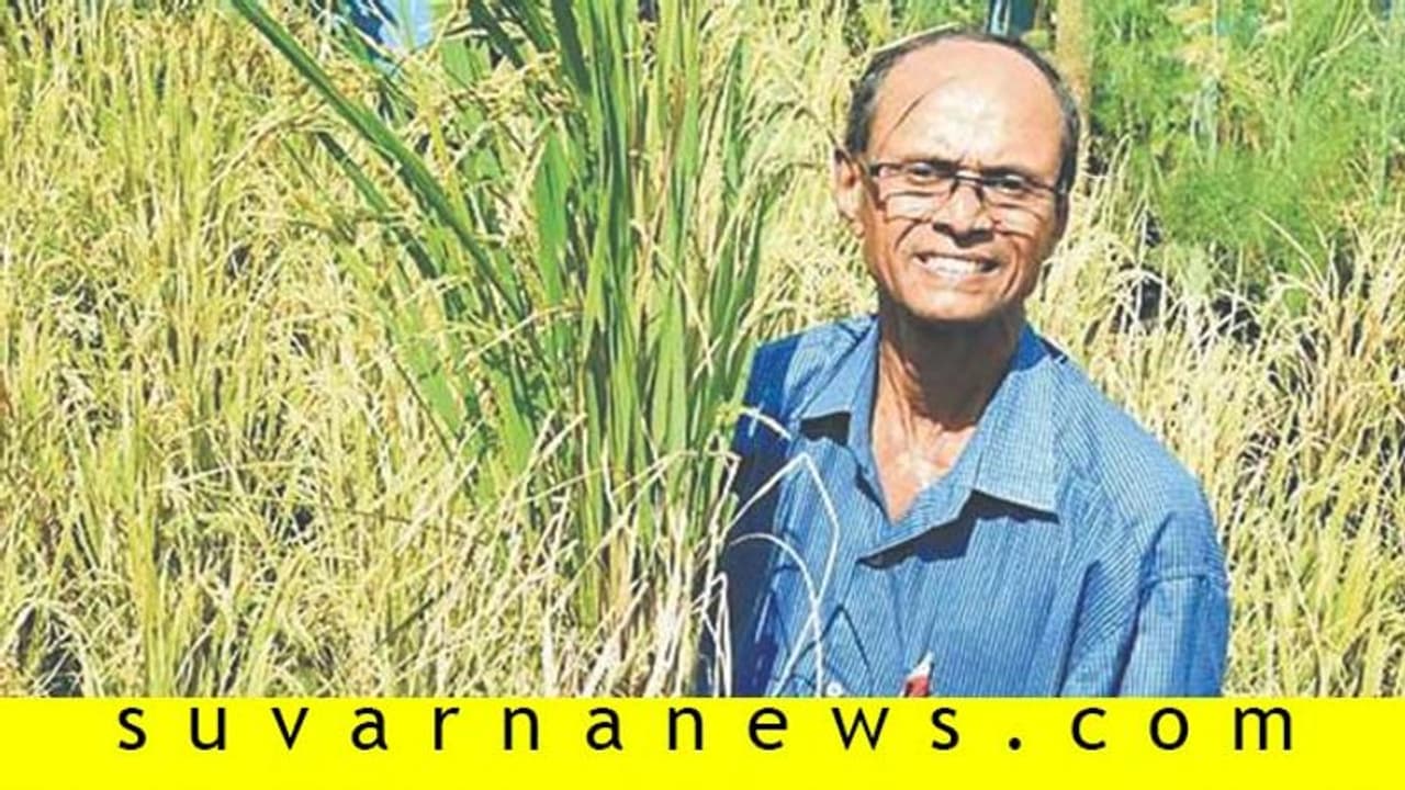 ತಾರಸಿಯಲ್ಲಿ ಪ್ಲಾಸ್ಟಿಕ್ ಟ್ರೇನಲ್ಲೇ ಗಂಧಸಾಲೆ ಭತ್ತ ಬೆಳೆದ ಕೃಷಿ ಪ್ರೇಮಿ ಕೃಷ್ಣಪ್ಪ ಗೌಡ್ರು!