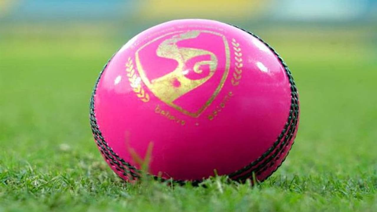 గంగూలీ గల్లీలో గులాబీ బంతి... దాని కథ కమామిషు గంగూలీ గల్లీలో గులాబీ బంతి... దాని కథ కమామిషు