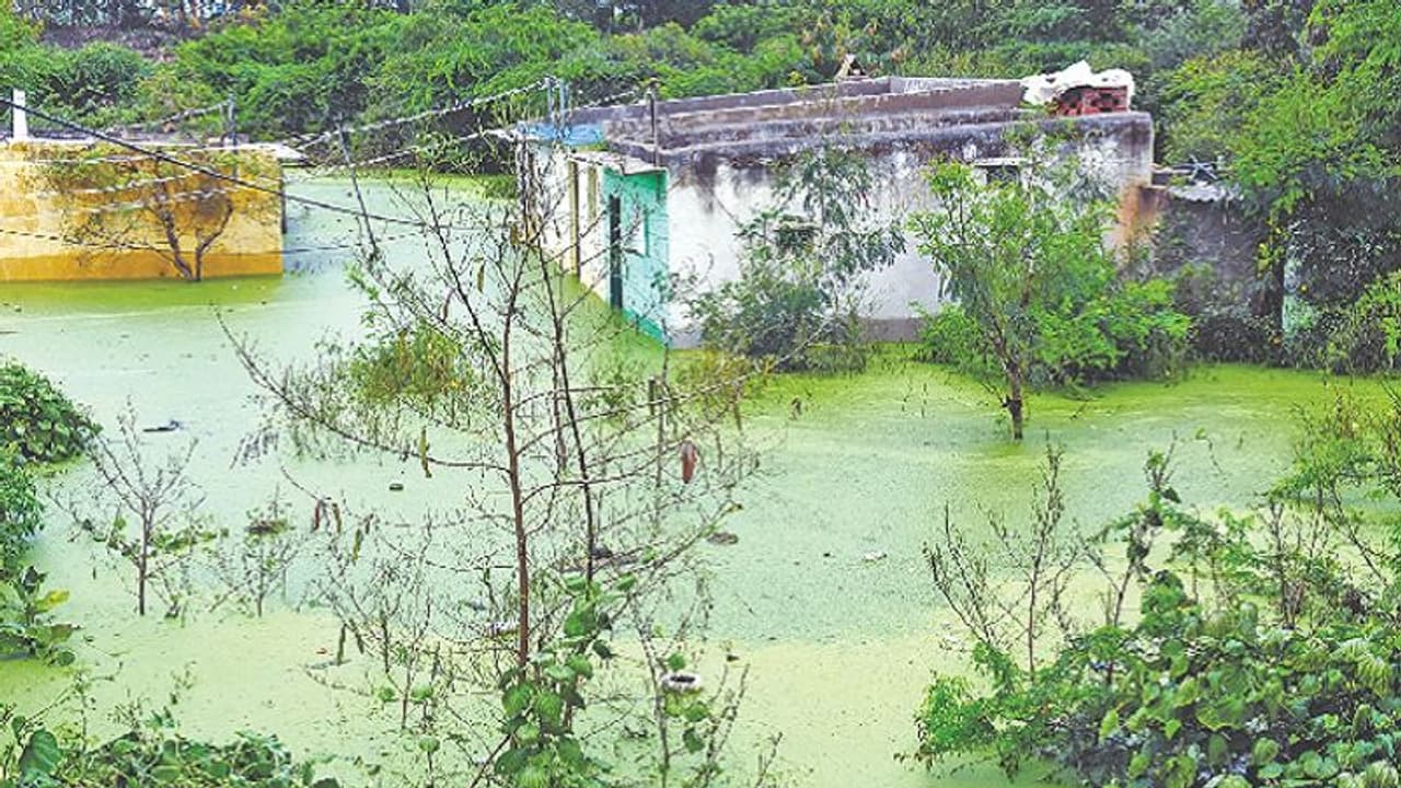 ಮಳೆ ನಿಂತು ಒಂದೂವರೆ ತಿಂಗಳಾದರೂ ನೆರೆ ಇಳಿದಿಲ್ಲ! ಮಳೆ ನಿಂತು ಒಂದೂವರೆ ತಿಂಗಳಾದರೂ ನೆರೆ ಇಳಿದಿಲ್ಲ!