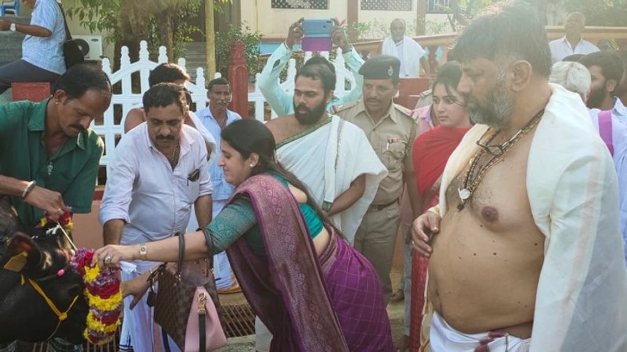 ಶೃಂಗೇರಿ: ಸಂಕಷ್ಟ ನಿವಾರಣೆಗೆ ಗೋದಾನ ಮಾಡಿದ ಡಿಕೆಶಿ ಶೃಂಗೇರಿ: ಸಂಕಷ್ಟ ನಿವಾರಣೆಗೆ ಗೋದಾನ ಮಾಡಿದ ಡಿಕೆಶಿ