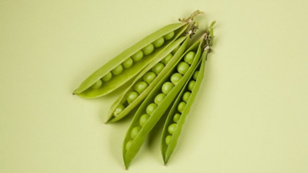 ব্লাডপ্রেসার থেকে কোষ্ঠকাঠিন্য, একগুচ্ছ সমস্যাতে ম্যাজিকের মত কাজ করবে মটরশুঁটি