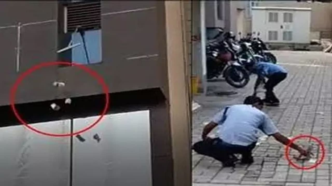 जब सड़क पर अचानक होने लगी नोटों की बारिश, लोगों में लगी थी बटोरने की होड़ जब सड़क पर अचानक होने लगी नोटों की बारिश, लोगों में लगी थी बटोरने की होड़