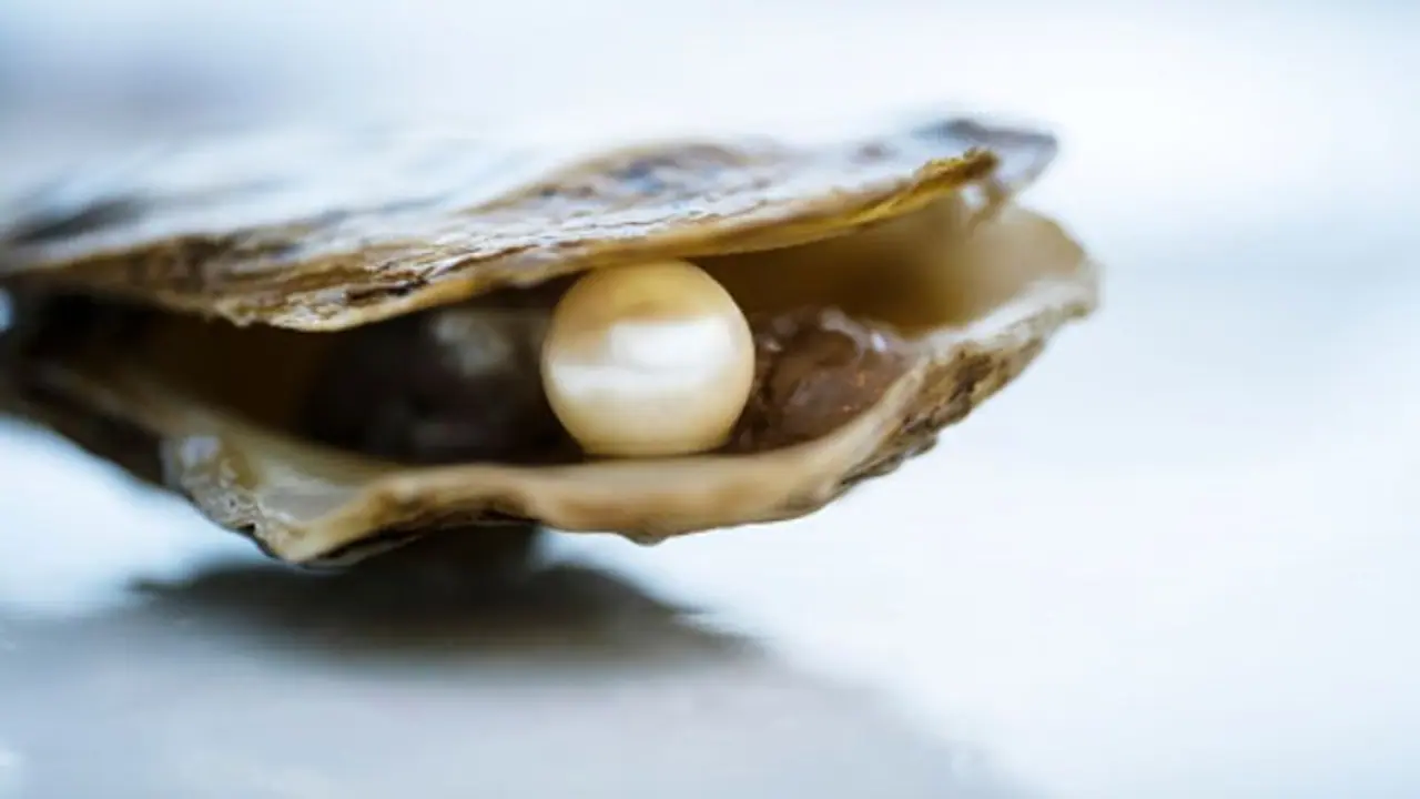 সব রাশির জাতক মুক্তো পরতে পারেন না, জেনে নিন কাদের জন্য এই রত্ন উপযুক্ত