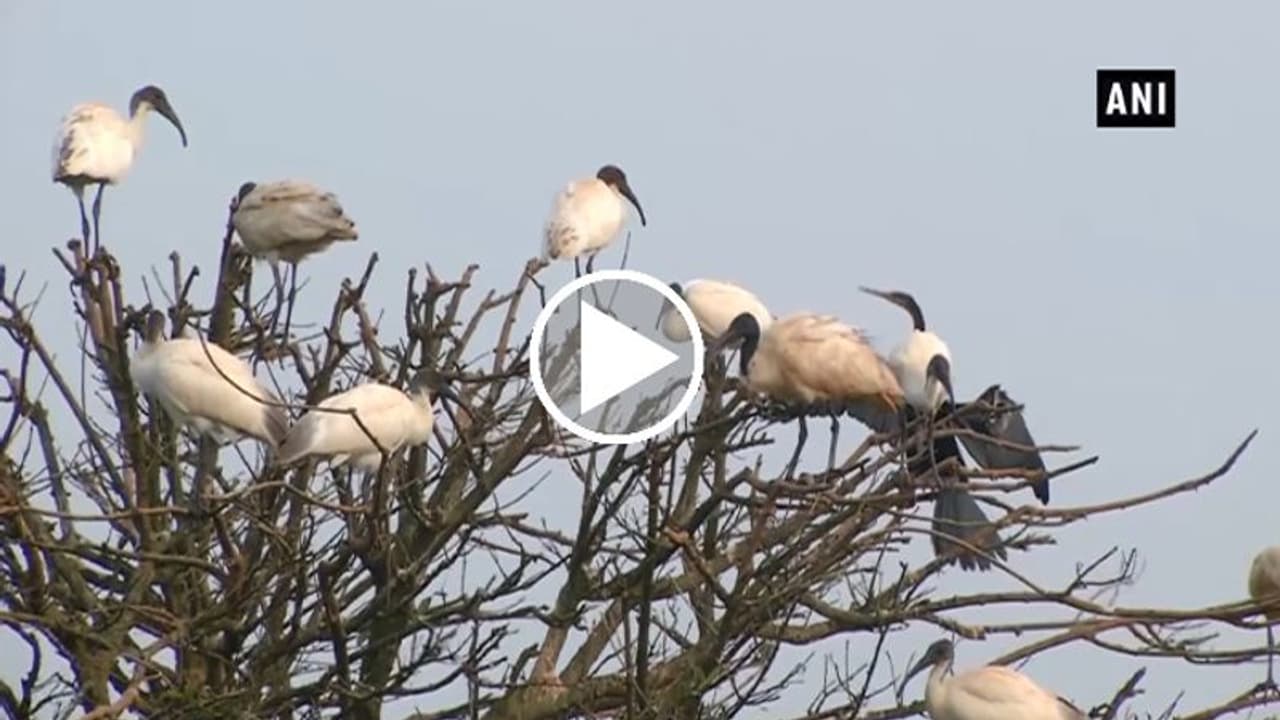 ಕೊರೋನಾ ಎಫೆಕ್ಟ್: ಕಳೆಗುಂದಿದ ಶಿವಮೊಗ್ಗ ಜಿಲ್ಲೆಯ ಪ್ರವಾಸಿ ತಾಣಗಳು