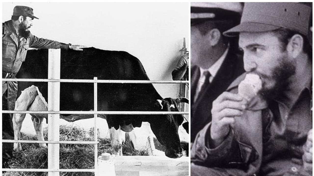 സഖാവിന് തരാൻ ഐസ്ക്രീമില്ലെന്ന് അമേരിക്ക, ലോകത്തിലെ ഏറ്റവും നല്ല ഐസ്ക്രീമുണ്ടാക്കി പകരം വീട്ടി കാസ്ട്രോ സഖാവിന് തരാൻ ഐസ്ക്രീമില്ലെന്ന് അമേരിക്ക, ലോകത്തിലെ ഏറ്റവും നല്ല ഐസ്ക്രീമുണ്ടാക്കി പകരം വീട്ടി കാസ്ട്രോ