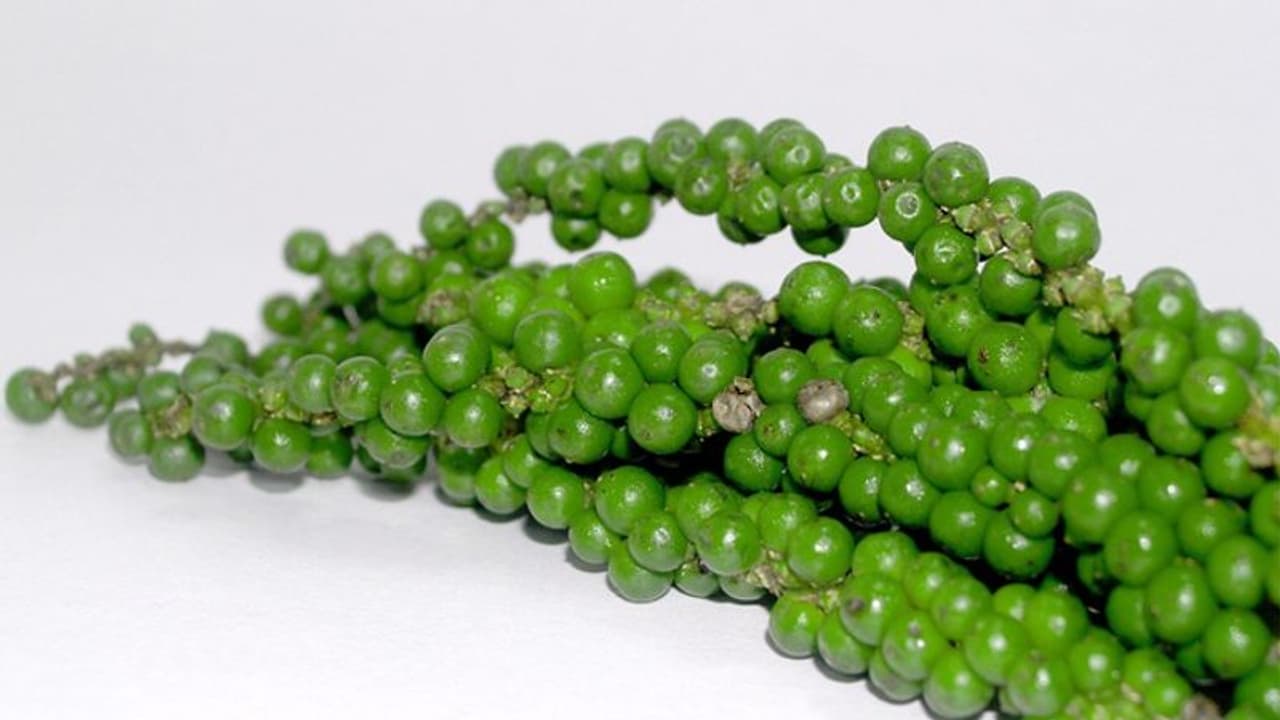 കേരളത്തിലെ കുരുമുളക് കര്ഷകര്ക്ക് കൂടുതല് പണം നല്കാന് തമിഴ്നാട്ടിലെ വ്യാപാരികള് കേരളത്തിലെ കുരുമുളക് കര്ഷകര്ക്ക് കൂടുതല് പണം നല്കാന് തമിഴ്നാട്ടിലെ വ്യാപാരികള്