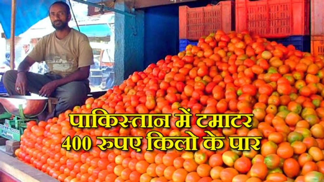 टमाटर को तरसे पाकिस्तानी, 400 रुपये किलो कीमत हुई तो सरकार पर यूं भड़क रहे हैं लोग टमाटर को तरसे पाकिस्तानी, 400 रुपये किलो कीमत हुई तो सरकार पर यूं भड़क रहे हैं लोग