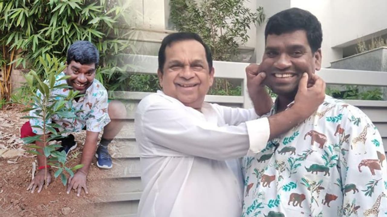 బ్రహ్మానందంకి ఛాలెంజ్ విసిరిన బిత్తిరిసత్తి