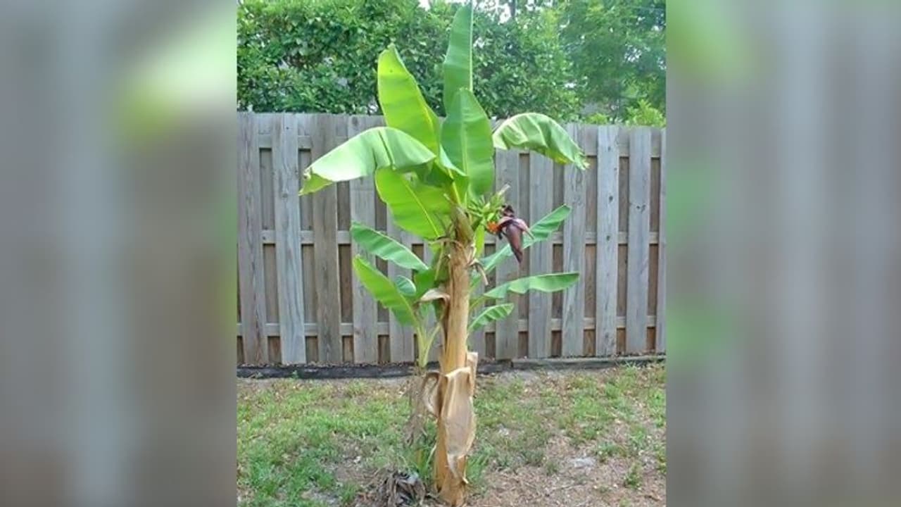 22 नवंबर को शुक्रवार और एकादशी का योग, इन 5 उपायों से दूर हो सकती है आपकी परेशानियां 22 नवंबर को शुक्रवार और एकादशी का योग, इन 5 उपायों से दूर हो सकती है आपकी परेशानियां