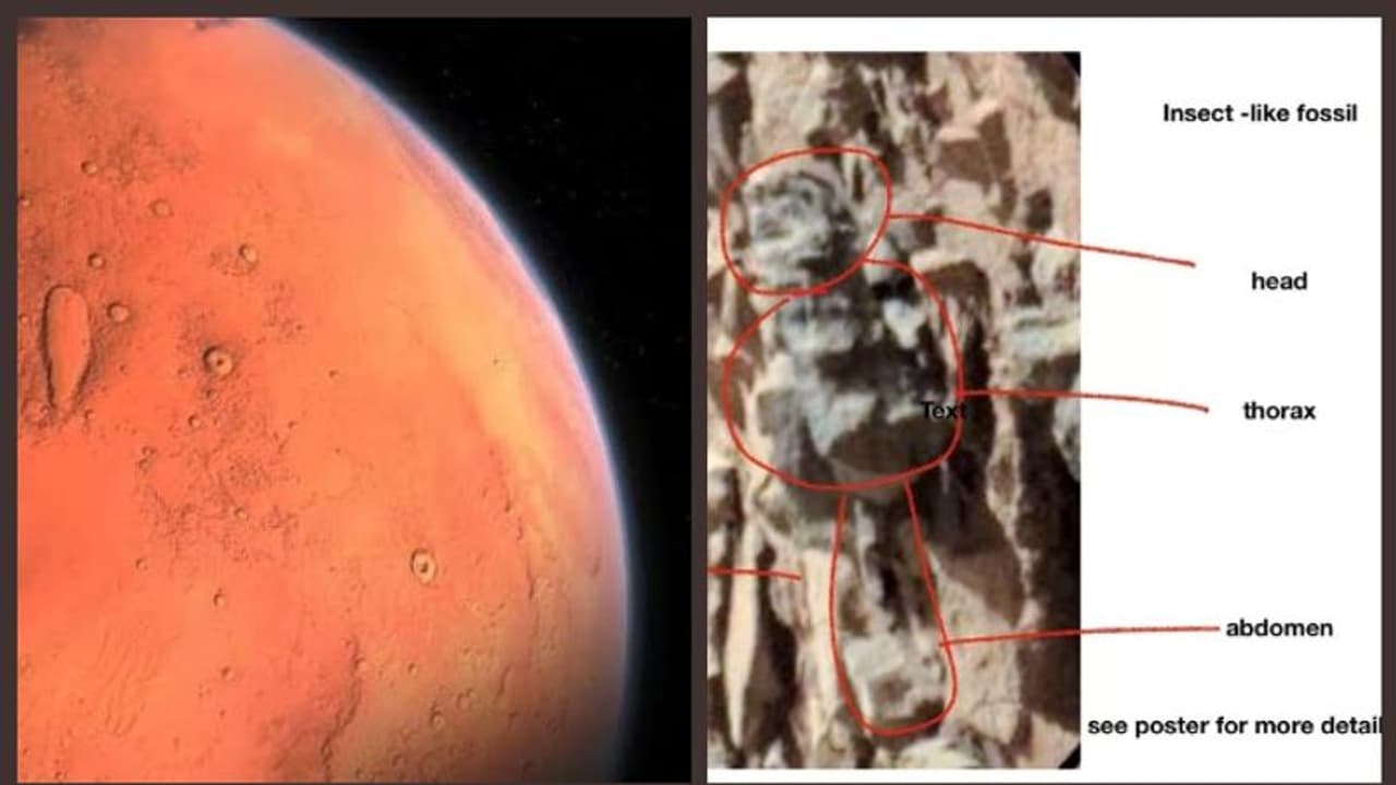 ಅಂಗಾರಕನಲ್ಲಿ ಕಾಲಿರುವ ಕೀಟ?: ಆಕ್ಸಿಜನ್ ಏರಿಕೆಯ ವಿಚಿತ್ರ ಆಟ! ಅಂಗಾರಕನಲ್ಲಿ ಕಾಲಿರುವ ಕೀಟ?: ಆಕ್ಸಿಜನ್ ಏರಿಕೆಯ ವಿಚಿತ್ರ ಆಟ!