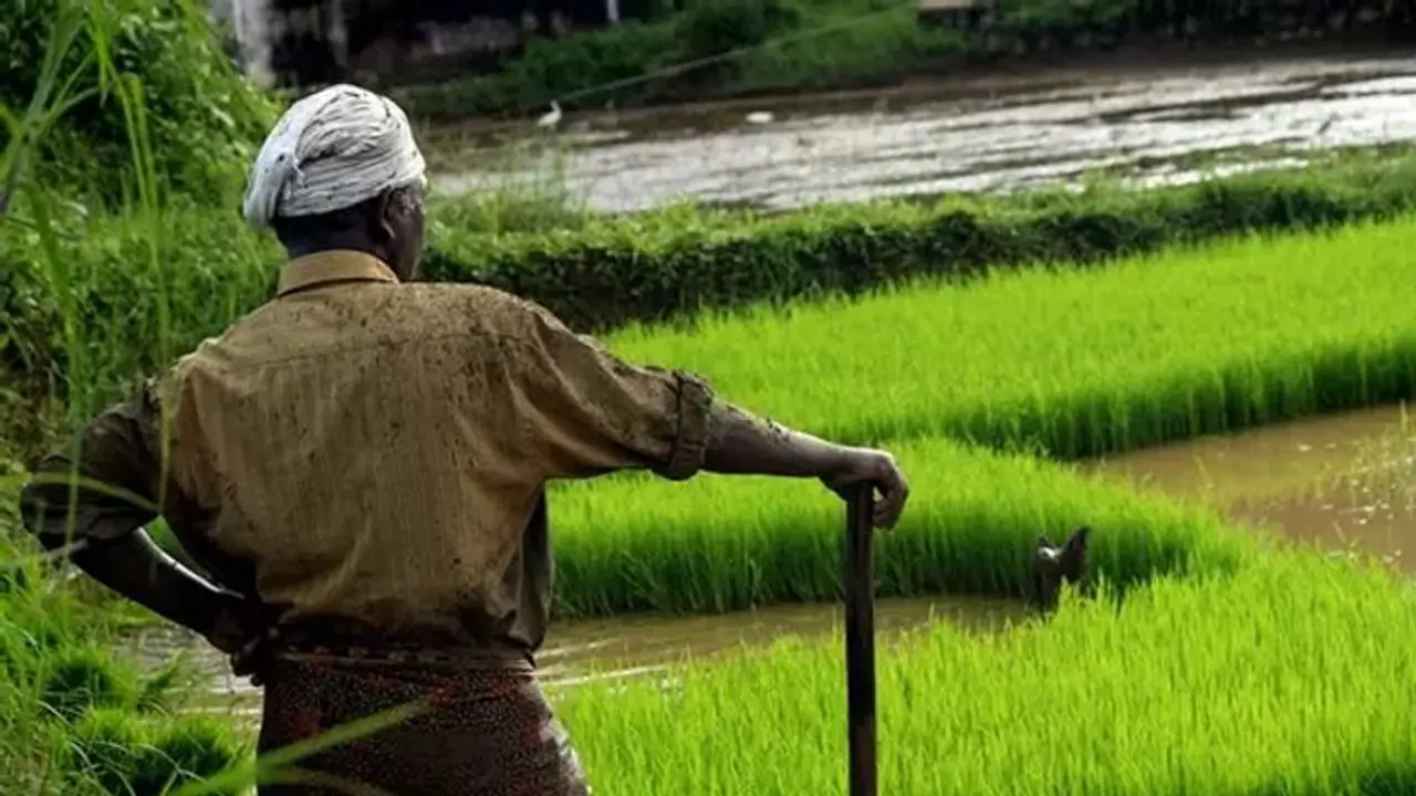 ರೈತರಿಗೆ ಸಾಲ ಮನ್ನಾ ಬಂಪರ್ : ಎಷ್ಟು ಮೊತ್ತದವರೆಗೆ ಅನ್ವಯ..? ರೈತರಿಗೆ ಸಾಲ ಮನ್ನಾ ಬಂಪರ್ : ಎಷ್ಟು ಮೊತ್ತದವರೆಗೆ ಅನ್ವಯ..?